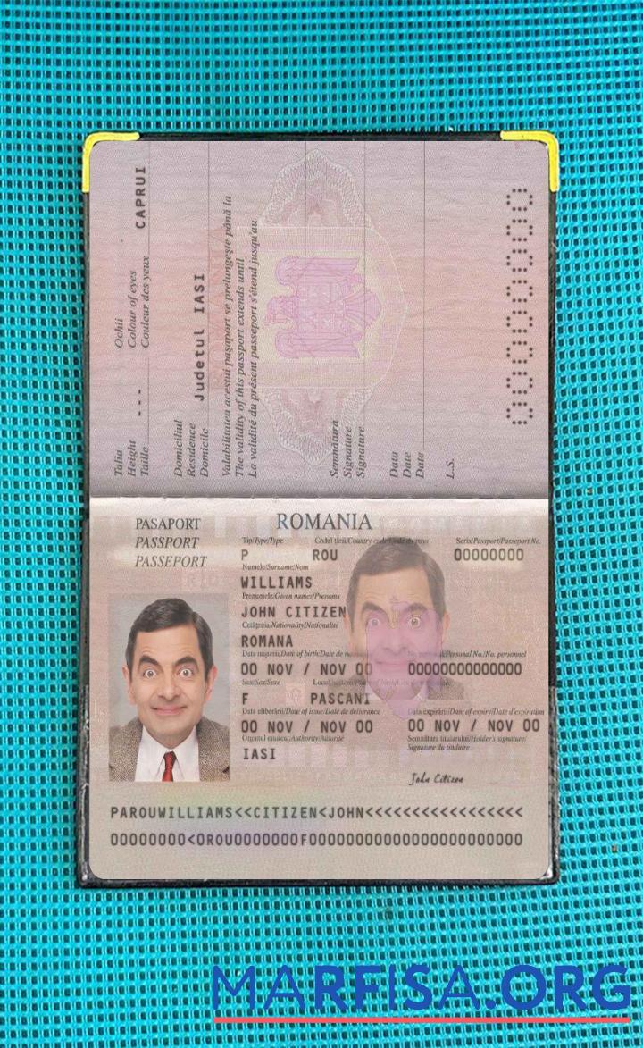 Blank Romania pass 2013 present photo look download for verification